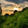 Best way to understand what the organic approach to food production is